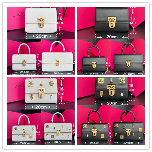 Picture of Schiaparelli Handbags _SKUfw236181143fw
